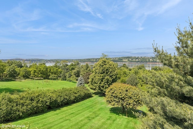195 Old Castle Point Rd, Wappingers Falls, NY 12590 - view of green lawn with a water view