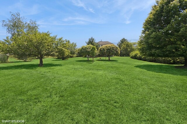 195 Old Castle Point Rd, Wappingers Falls, NY 12590 - view of green lawn
