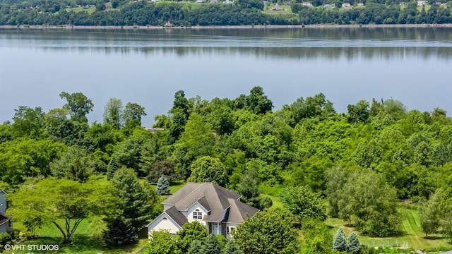 195 Old Castle Point Rd, Wappingers Falls, NY 12590 - view from above of property featuring a large body of water and a heavily wooded area