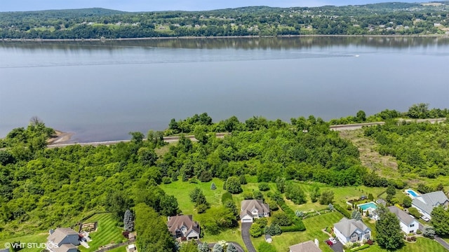195 Old Castle Point Rd, Wappingers Falls, NY 12590 - drone / aerial view of a forest and a large body of water