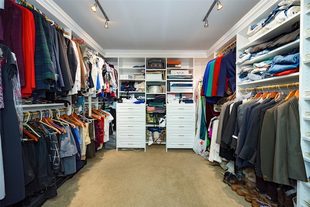 129 Clinton Corners Rd, Salt Point, NY 12578 - walk in closet featuring carpet