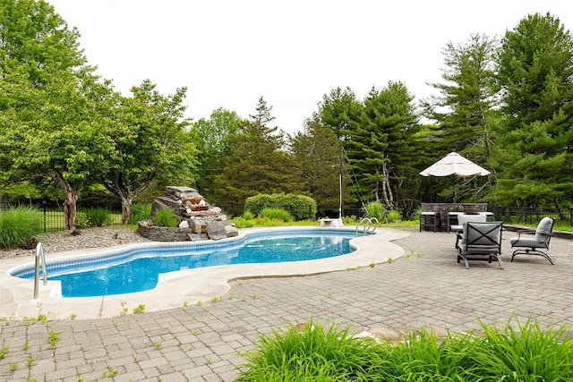 129 Clinton Corners Rd, Salt Point, NY 12578 - view of swimming pool with a patio area and view of wooded area