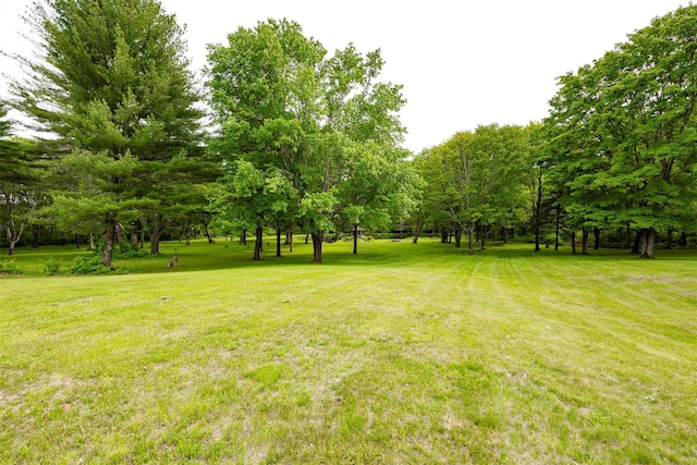 129 Clinton Corners Rd, Salt Point, NY 12578 - view of grassy yard featuring view of scattered trees