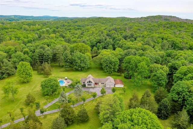 129 Clinton Corners Rd, Salt Point, NY 12578 - view from above of property with a heavily wooded area