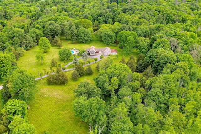129 Clinton Corners Rd, Salt Point, NY 12578 - view from above of property with a forest