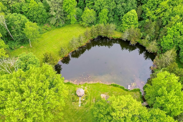 129 Clinton Corners Rd, Salt Point, NY 12578 - bird's eye view of a nearby body of water