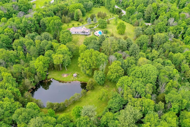 129 Clinton Corners Rd, Salt Point, NY 12578 - aerial view of a large body of water and a heavily wooded area