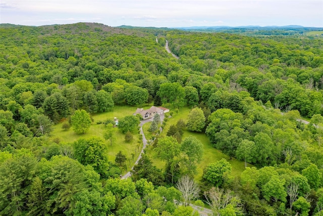 129 Clinton Corners Rd, Salt Point, NY 12578 - bird's eye view of a forest
