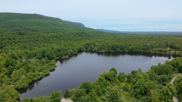 Tillson Lake Rd, Wallkill, NY 12589
