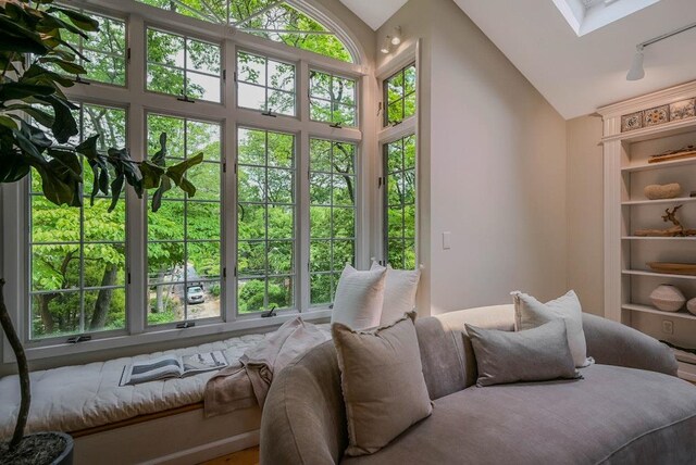 10 Maple Ave, Setauket, NY 11733 - bedroom featuring rail lighting, a skylight, multiple windows, and high vaulted ceiling
