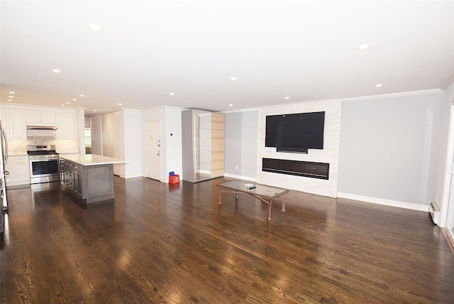 206-07 Lori Dr Unit 60M, Bayside, NY 11360 - unfurnished living room featuring crown molding, a large fireplace, dark wood finished floors, baseboards, and recessed lighting