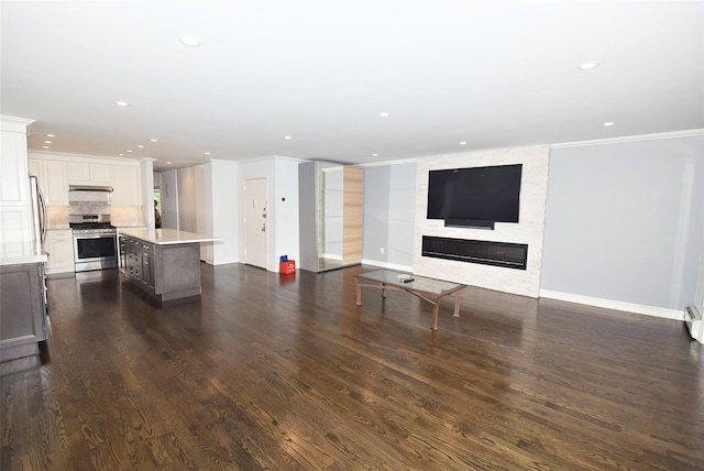 206-07 Lori Dr Unit 60M, Bayside, NY 11360 - unfurnished living room featuring crown molding, dark wood-style flooring, a large fireplace, baseboards, and recessed lighting