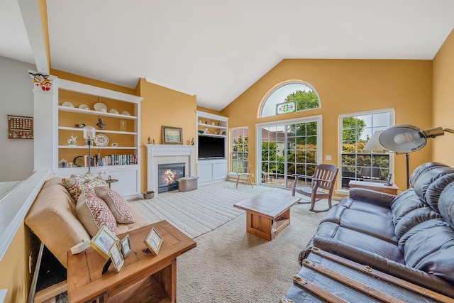 105 Louden Loop, Mount Sinai, NY 11766 - carpeted living area with a glass covered fireplace, built in shelves, and high vaulted ceiling