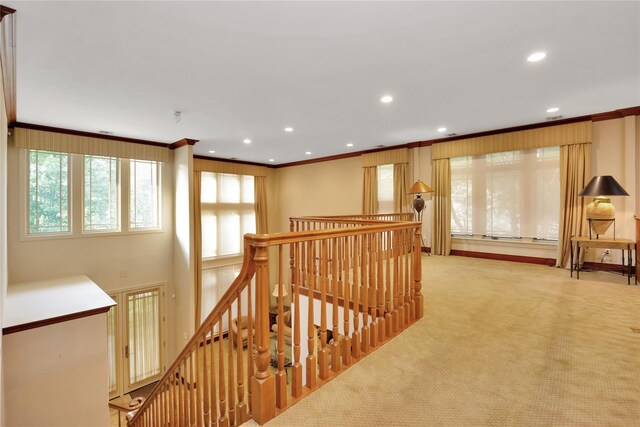 19 Holiday Pond Rd, Jericho, NY 11753 - photo 22