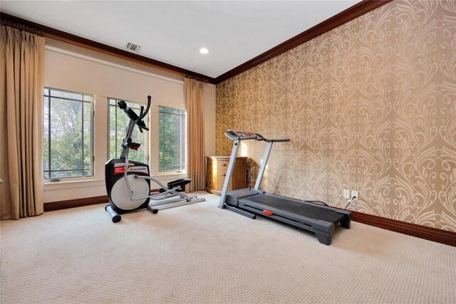 19 Holiday Pond Rd, Jericho, NY 11753 - photo 27