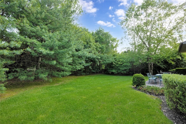 19 Holiday Pond Rd, Jericho, NY 11753 - photo 32