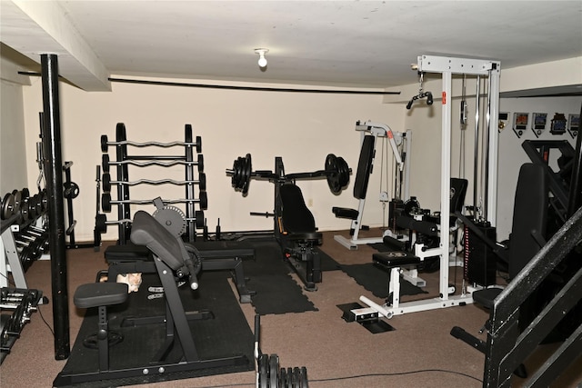 1510 Rica Pl, Valley Stream, NY 11580 - view of workout area