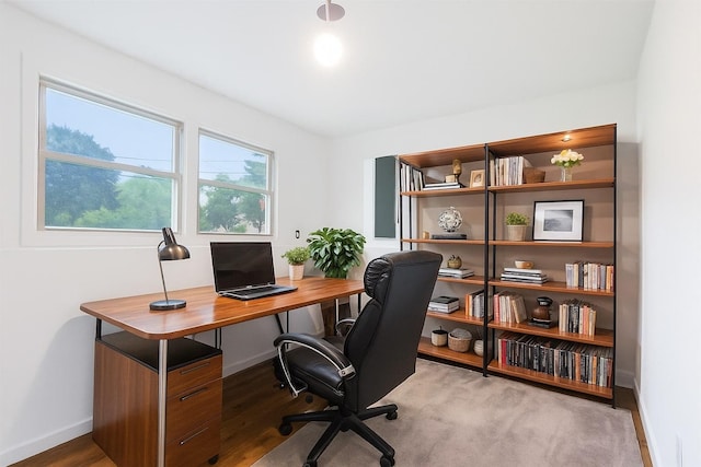 83 Scott Dr, Wappingers Falls, NY 12590 - office space with baseboards and wood finished floors