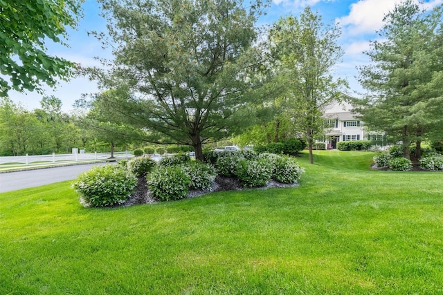 1 Country Club Dr, Middletown, NY 10940 - view of yard