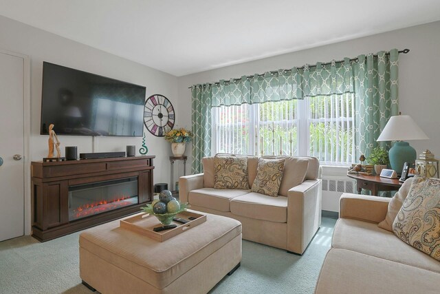 135-5 S Highland Ave Unit D4, Ossining, NY 10562 - carpeted living room with radiator and a glass covered fireplace