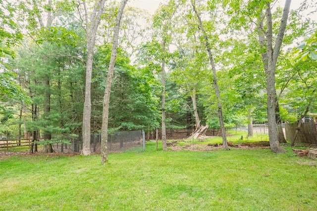 112 Middle Island Blvd, Middle Island, NY 11953 - view of yard