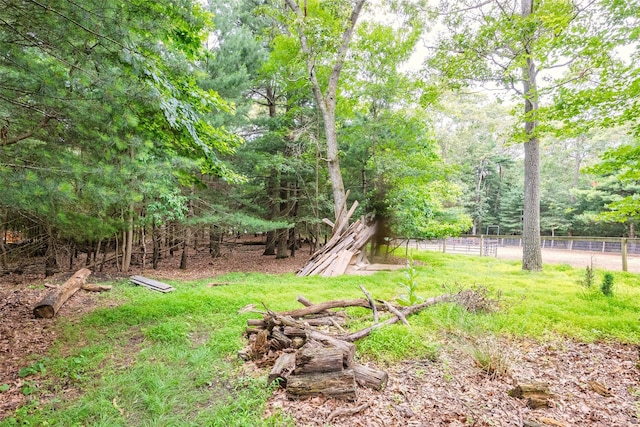 112 Middle Island Blvd, Middle Island, NY 11953 - view of yard