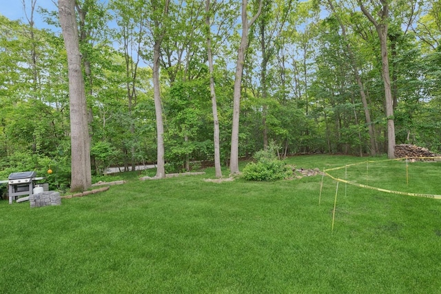 18 Taylor Commons, Yaphank, NY 11980 - view of grassy yard