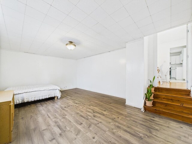22 Lenore Ave, Hicksville, NY 11801 - photo 33