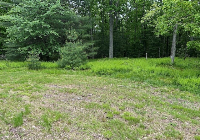LOT45 Split Rock Dr, Barryville, NY 12719