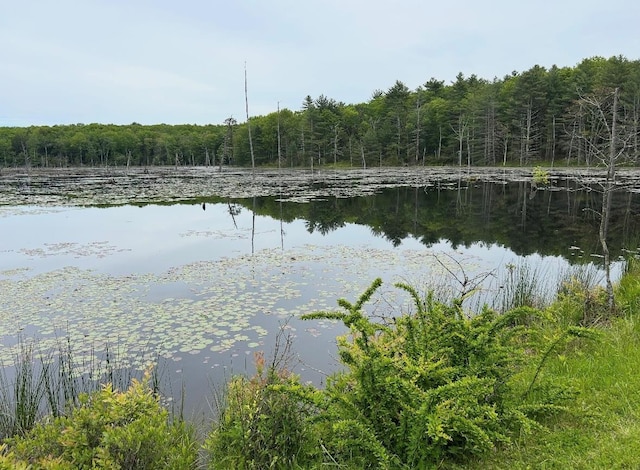 LOT45 Split Rock Dr, Barryville, NY 12719