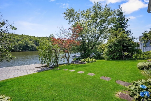 65 Lakeside Rd, Mahopac, NY 10541 - photo 5