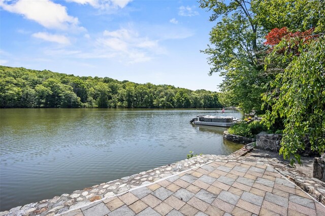65 Lakeside Rd, Mahopac, NY 10541 - photo 31