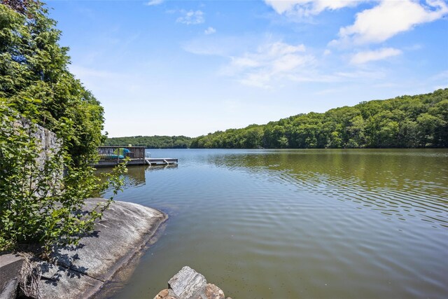 65 Lakeside Rd, Mahopac, NY 10541 - photo 32