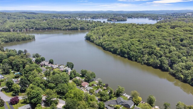 65 Lakeside Rd, Mahopac, NY 10541 - photo 37