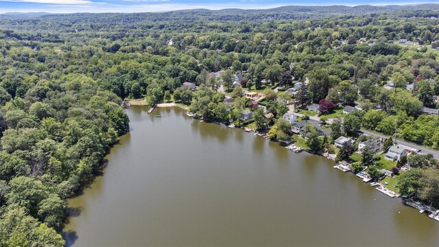 65 Lakeside Rd, Mahopac, NY 10541 - photo 39