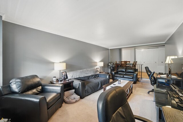 60 Barker St Unit 417, Mount Kisco, NY 10549 - living area with ornamental molding