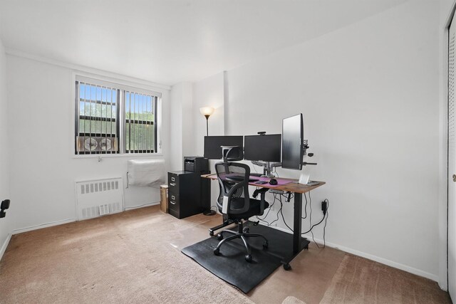60 Barker St Unit 417, Mount Kisco, NY 10549 - home office with radiator, carpet floors, and baseboards