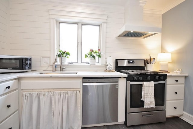 3454 State Route 208, Campbell Hall, NY 10916 - kitchen featuring stainless steel appliances, a sink, premium range hood, crown molding, and light countertops