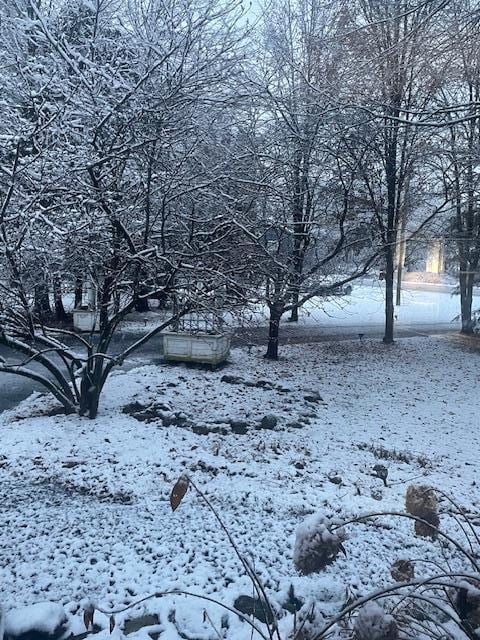 3454 State Route 208, Campbell Hall, NY 10916 - view of snowy yard