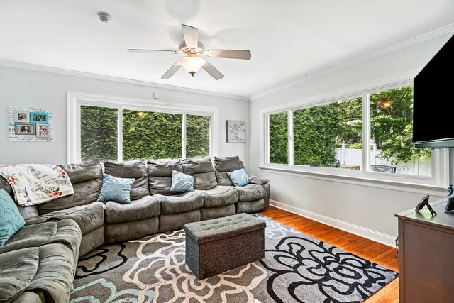 114 Longview Ave, White Plains, NY 10605 - living area featuring crown molding, ceiling fan, wood finished floors, and baseboards