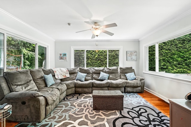 114 Longview Ave, White Plains, NY 10605 - living room featuring plenty of natural light, crown molding, wood finished floors, and ceiling fan