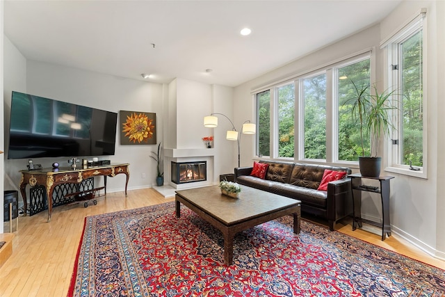 41 Boulder Ridge Rd, Scarsdale, NY 10583 - living area with a glass covered fireplace, wood finished floors, recessed lighting, and baseboards