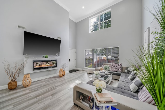 4 Cari Ln, Middle Island, NY 11953 - living area with ornamental molding, a towering ceiling, wood finished floors, a glass covered fireplace, and baseboards