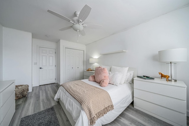 4 Cari Ln, Middle Island, NY 11953 - bedroom featuring wood finished floors, a closet, and ceiling fan