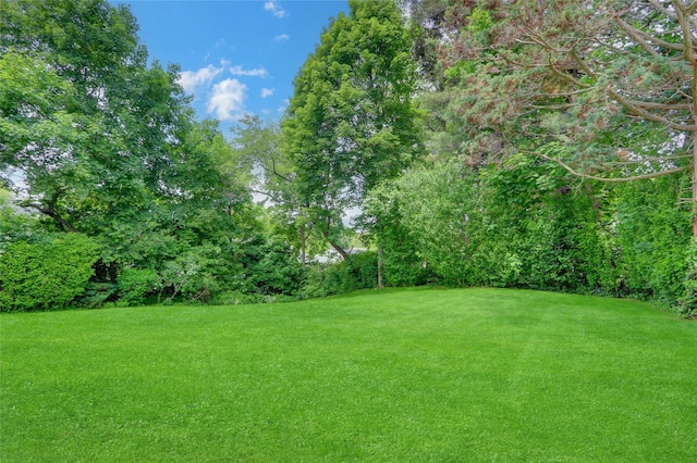 77 Barry Ln, Syosset, NY 11791 - view of green lawn