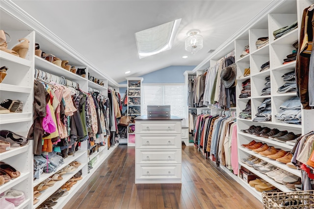 224 Biltmore Blvd, Massapequa, NY 11758 - walk in closet featuring lofted ceiling and dark wood-style floors