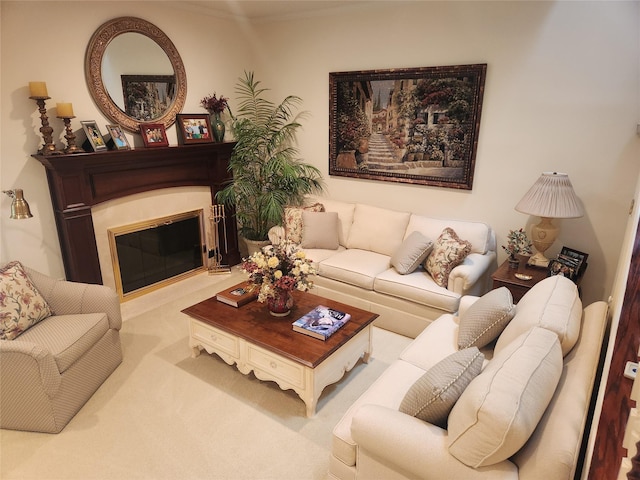 166 Southgate Cir, Massapequa Park, NY 11762 - carpeted living area with a glass covered fireplace