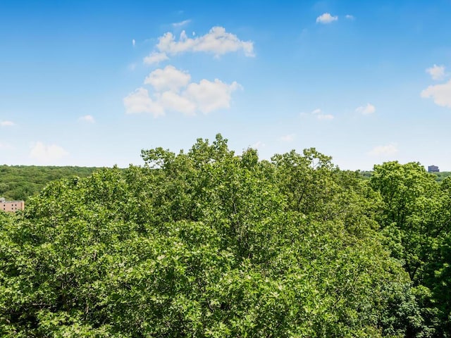 5550 Fieldston Rd Unit 8D, Bronx, NY 10471 - view of woods
