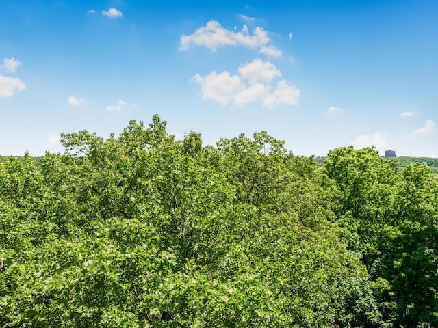 5550 Fieldston Rd Unit 8D, Bronx, NY 10471 - view of nature