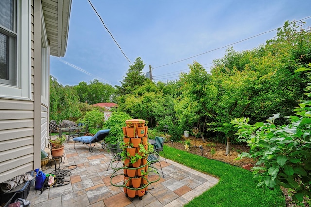 613 Gary Pl, Westbury, NY 11590 - view of patio